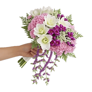 Delicate Petal Cascade