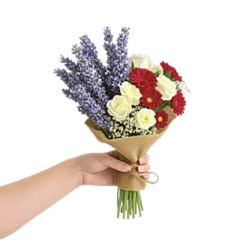 Lavender Bloom Grace