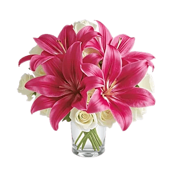 Graceful Lily Display