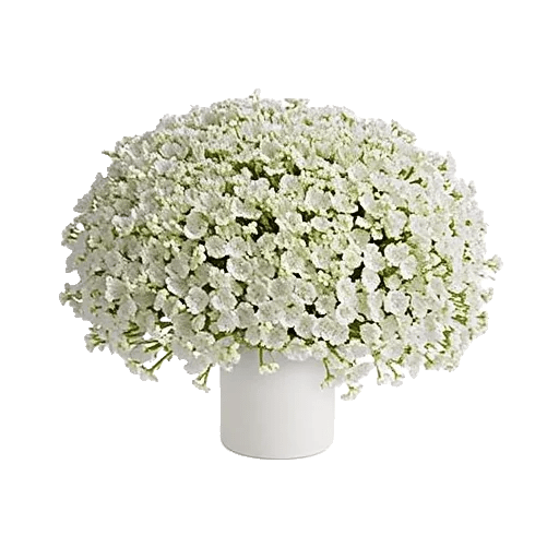 Blush Romantic Centerpiece