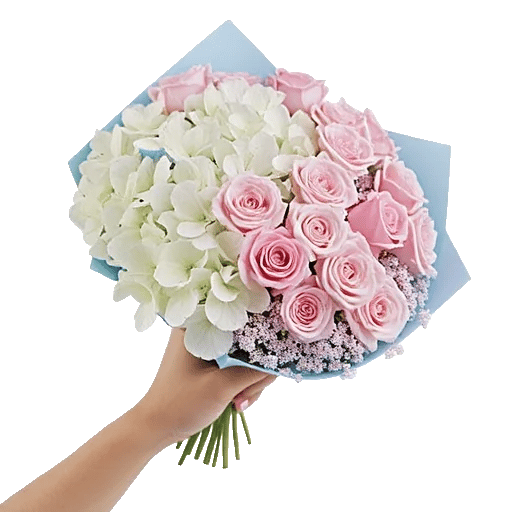 Serene Petal Harmony