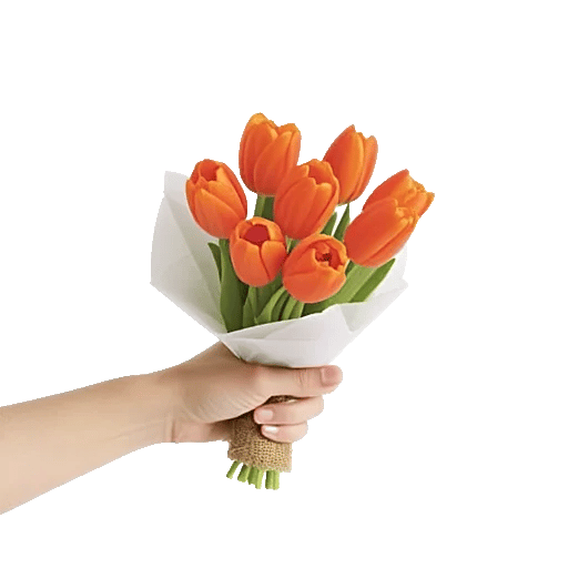 Velvet Tulip Display