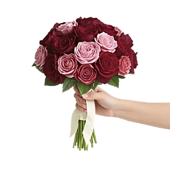 Crimson Blossom Harmony