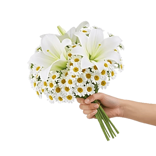 Graceful Lily Display