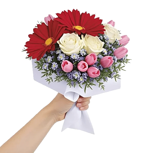 Coral Blossom Harmony