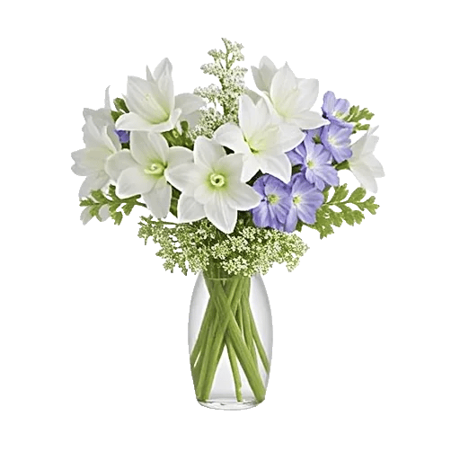 Ivory Blossom Radiance