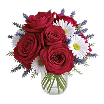 Crimson Rose Elegance