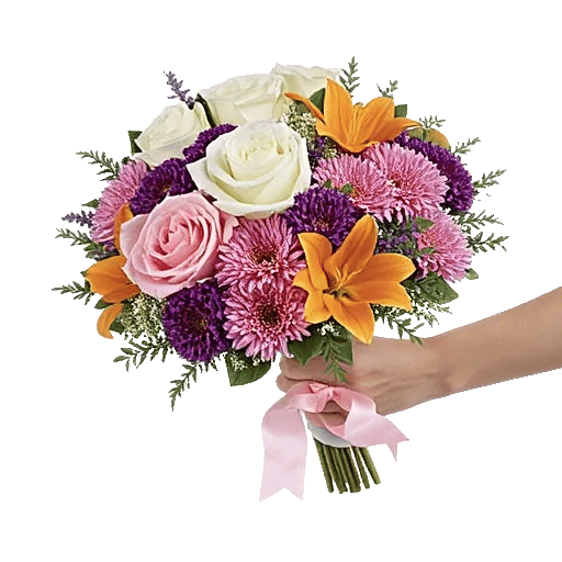 Blushing Rose Symphony