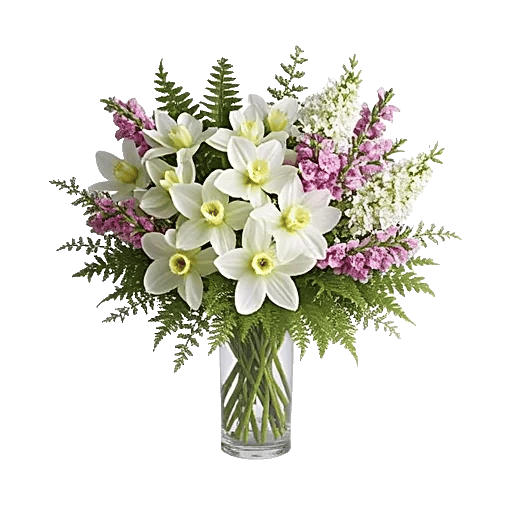 Ivory Blossom Radiance