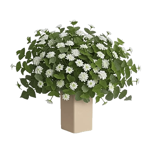 Ivory Blossom Radiance