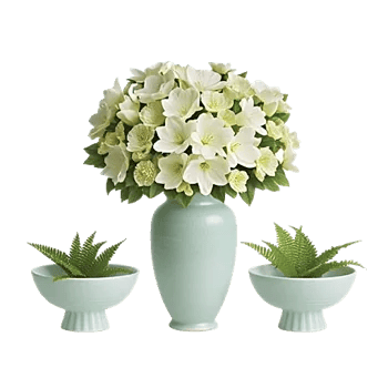 Ivory Blossom Radiance