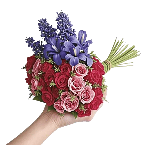 Rosemary Bloom Elegance