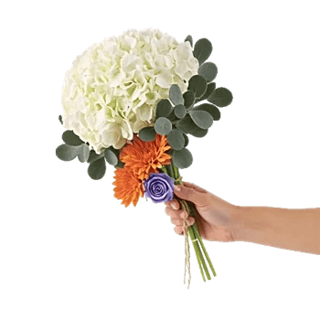 Serene Petal Harmony