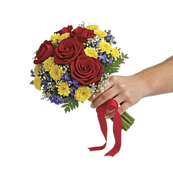 Crimson Rose Elegance