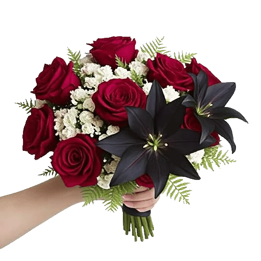 Crimson Rose Elegance
