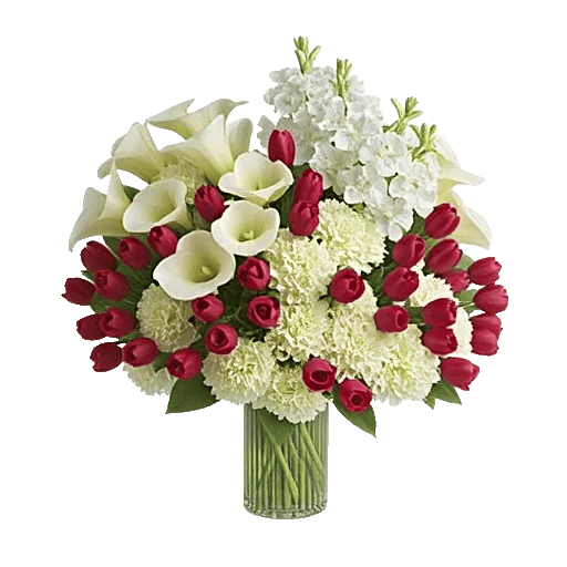 Elegant Calla Lilies