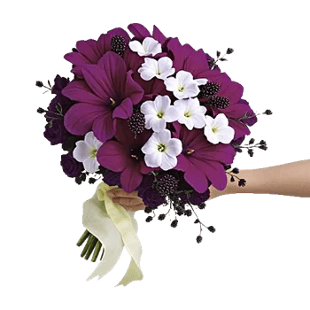 Petal Grace Harmony