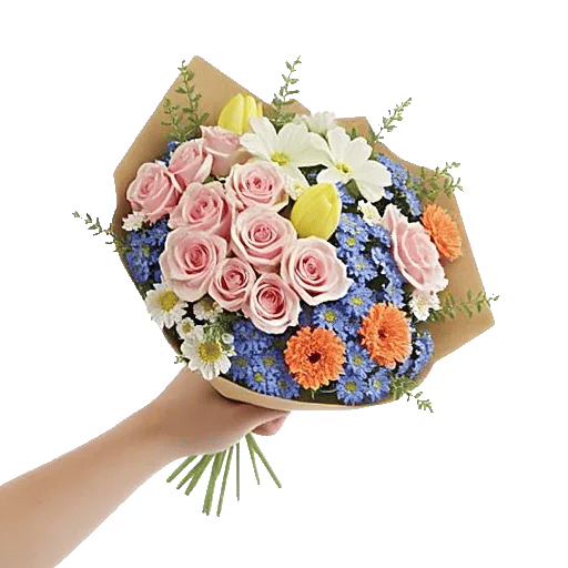 Pastel Pink Roses