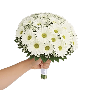 Delicate Petal Cascade