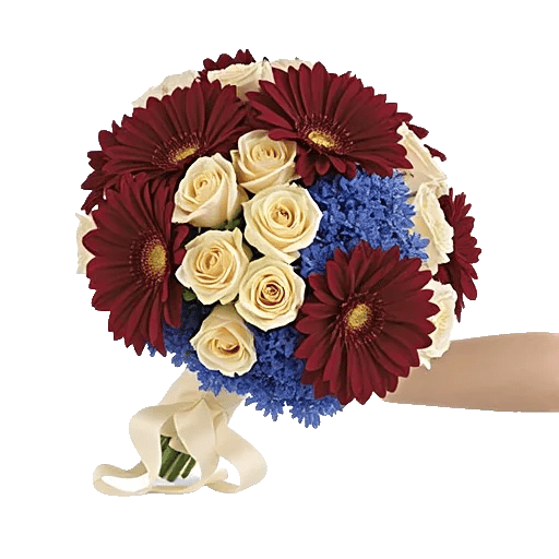 Blushing Rose Symphony