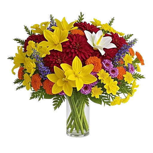 Petal Radiance Bliss