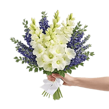 Elegant Calla Lilies