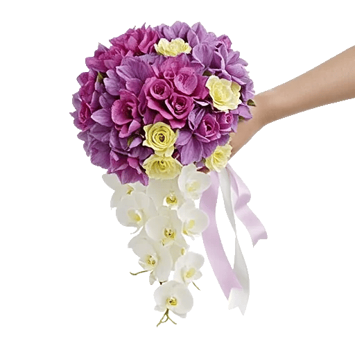 Orchid Bloom Cascade