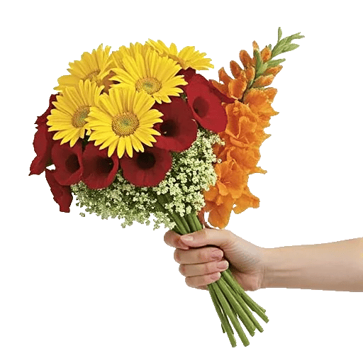 Petal Harmony Bliss