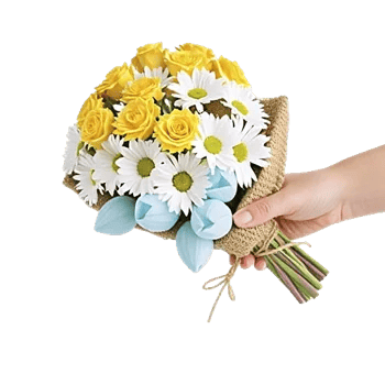 Soft Sunlight Blooms