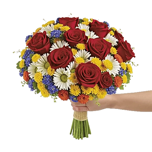 Blushing Rose Symphony