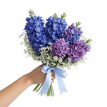 Sapphire Bloom Whisper