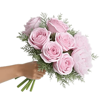 Pastel Pink Roses