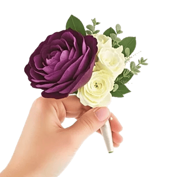 Plum Blossom Radiance