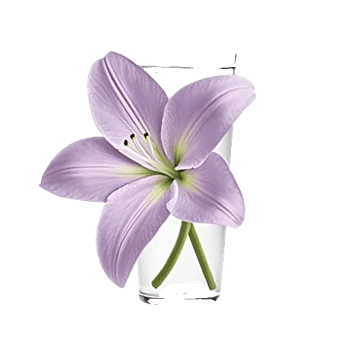 Graceful Lily Display