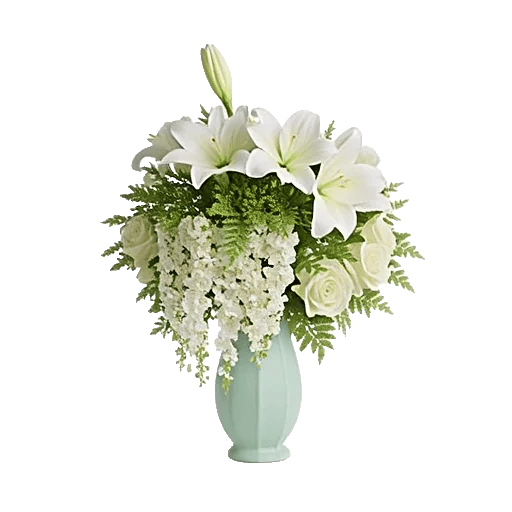 Ivory Blossom Radiance