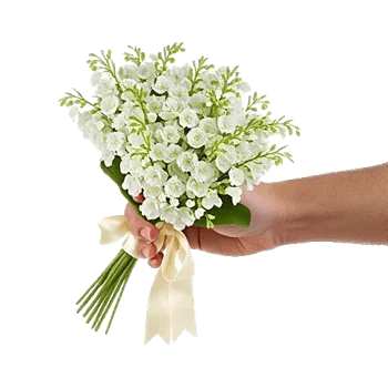 Ivory Blossom Radiance