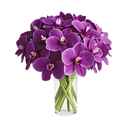 Orchid Bloom Cascade