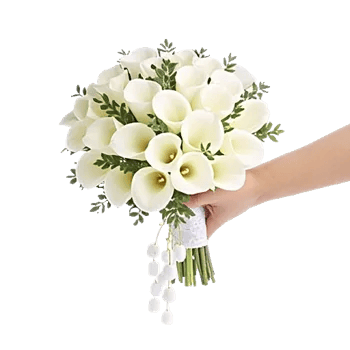 Elegant Calla Lilies