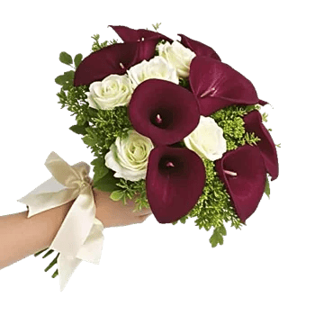 Elegant Calla Lilies
