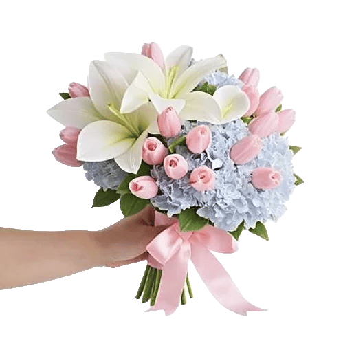 Blossom Harmony Display