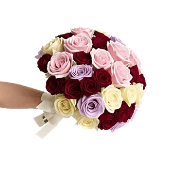 Blushing Rose Symphony