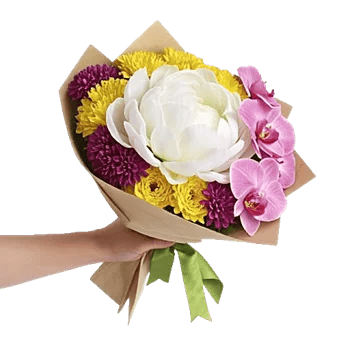 Peony Petal Harmony