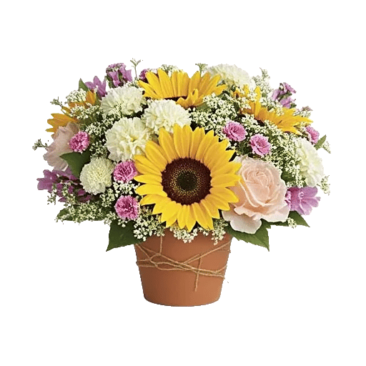 Amber Sunflower Glow