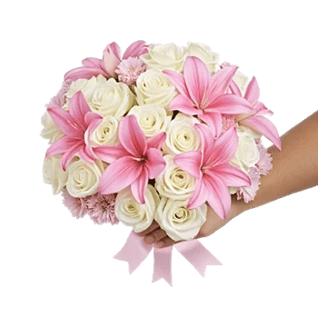 Ivory Garden Grace