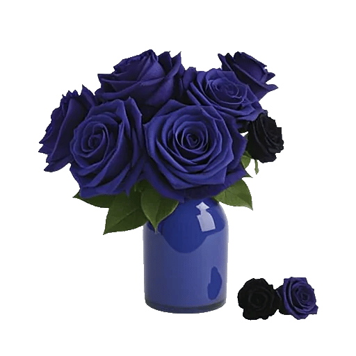 Elegant Blue Roses