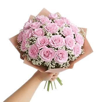 Pastel Pink Roses