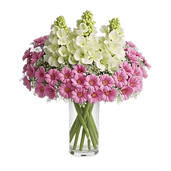 Ivory Blossom Radiance