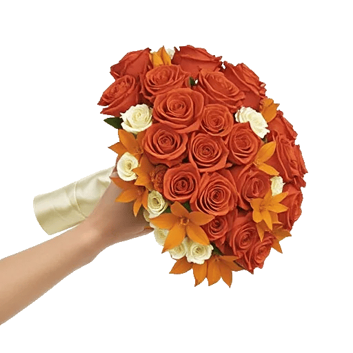 Blushing Rose Symphony