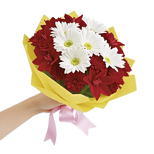 Blossom Harmony Display