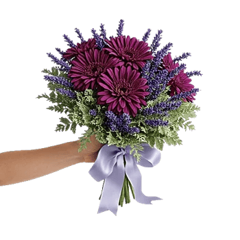 Lavender Bloom Grace